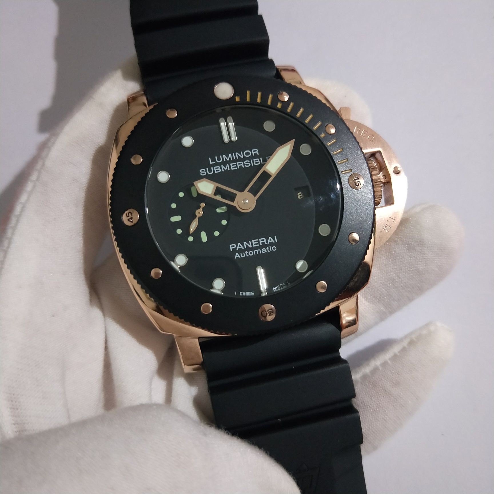 PAM00684